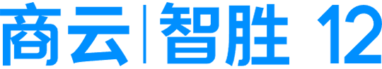 商云智胜logo